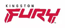 Kingston Fury